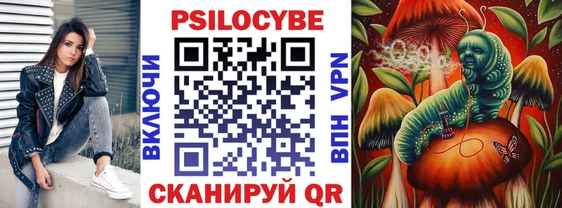 Псилоцибиновые грибы Cubensis  Ильский 