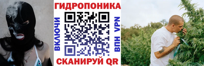 Шишки марихуана конопля  Ильский 